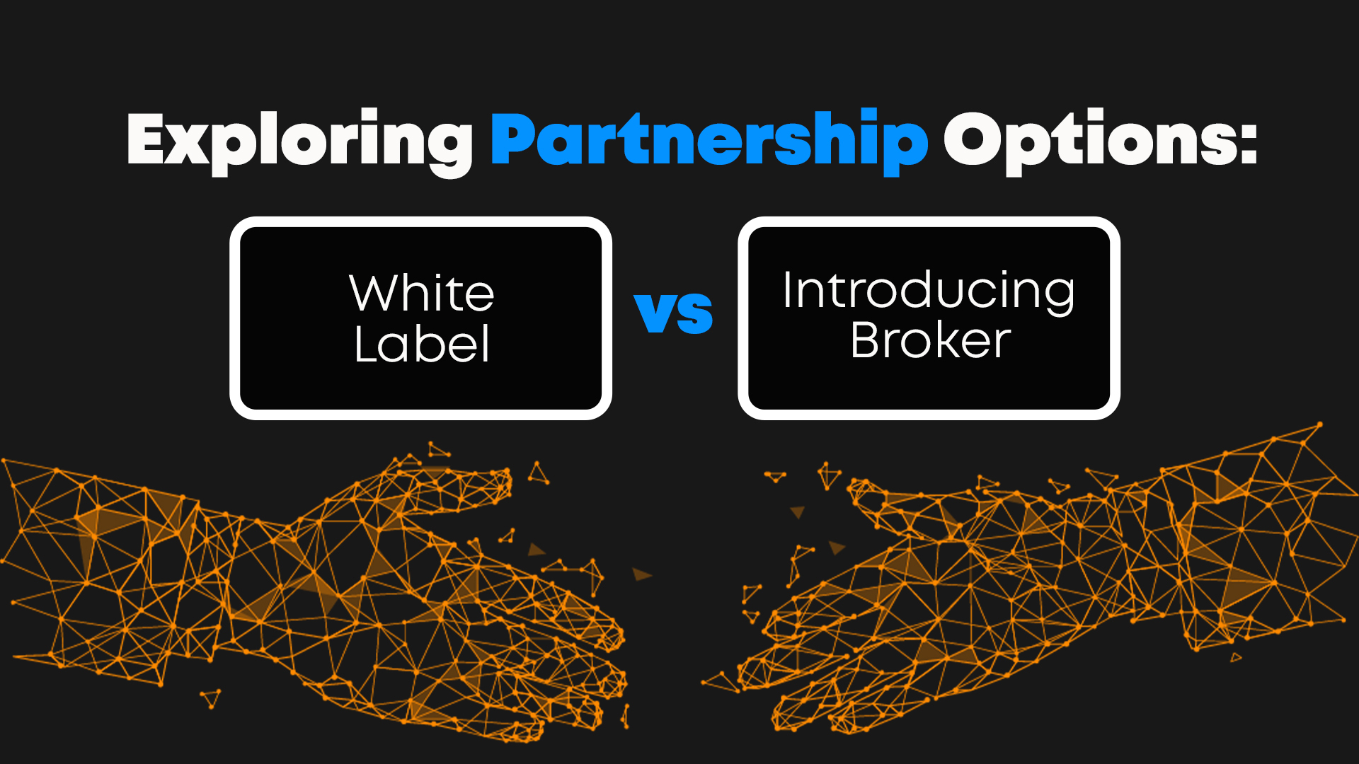Exploring Partnership Options:  vs. Introducing Broker